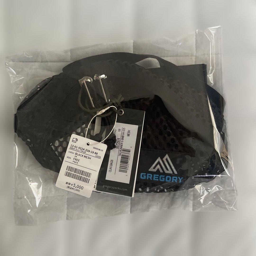 BEAMS BOY × GREGORY メッシュ TAILRUNNER