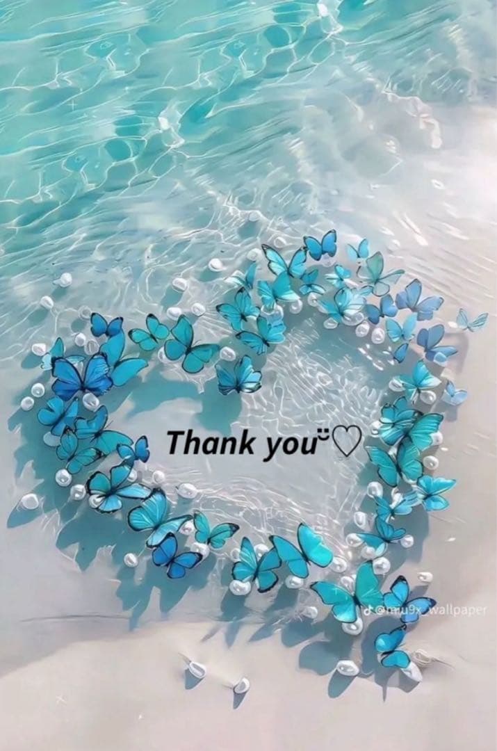 ❤️ちーたん様❤️