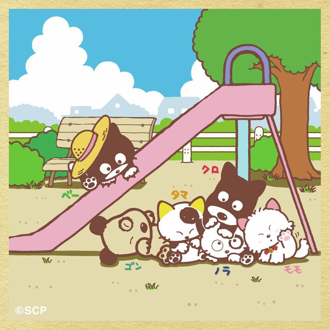 うちのタマしりませんか　正方形5