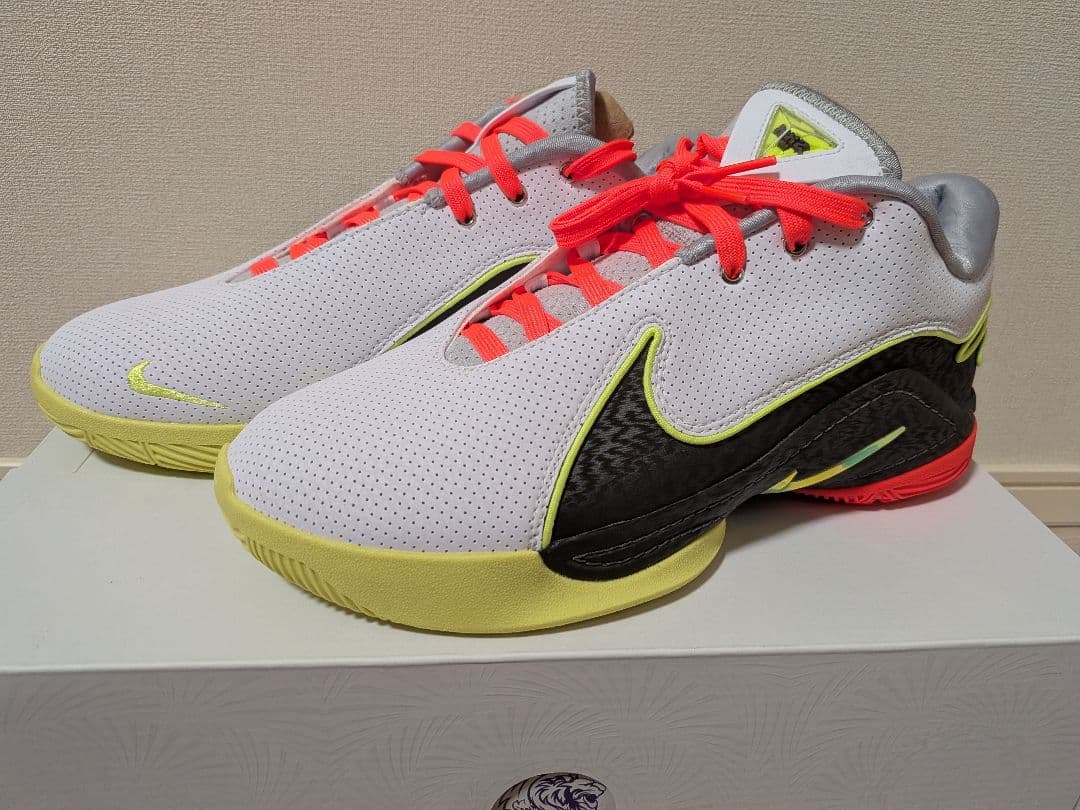 シューズ(男性用) Nike Lebron 22cm EP 9.5