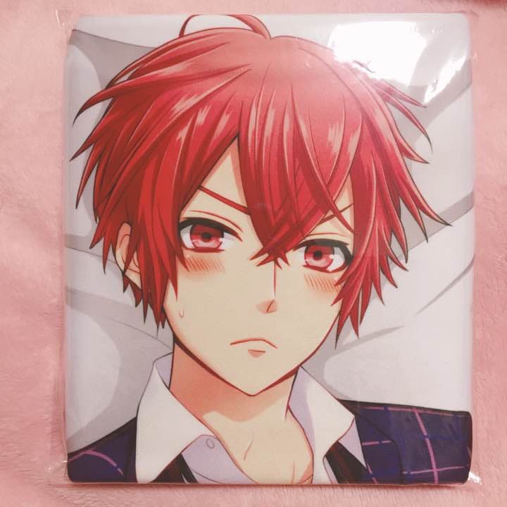 貞本義行「新世紀エヴァンゲリオン」B4複製原画 C渚カヲルCD