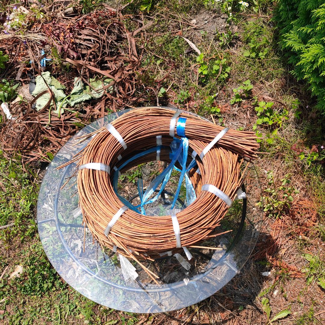 (委託品)青森県岩木山採取　あけび蔓　150cm～　3kg