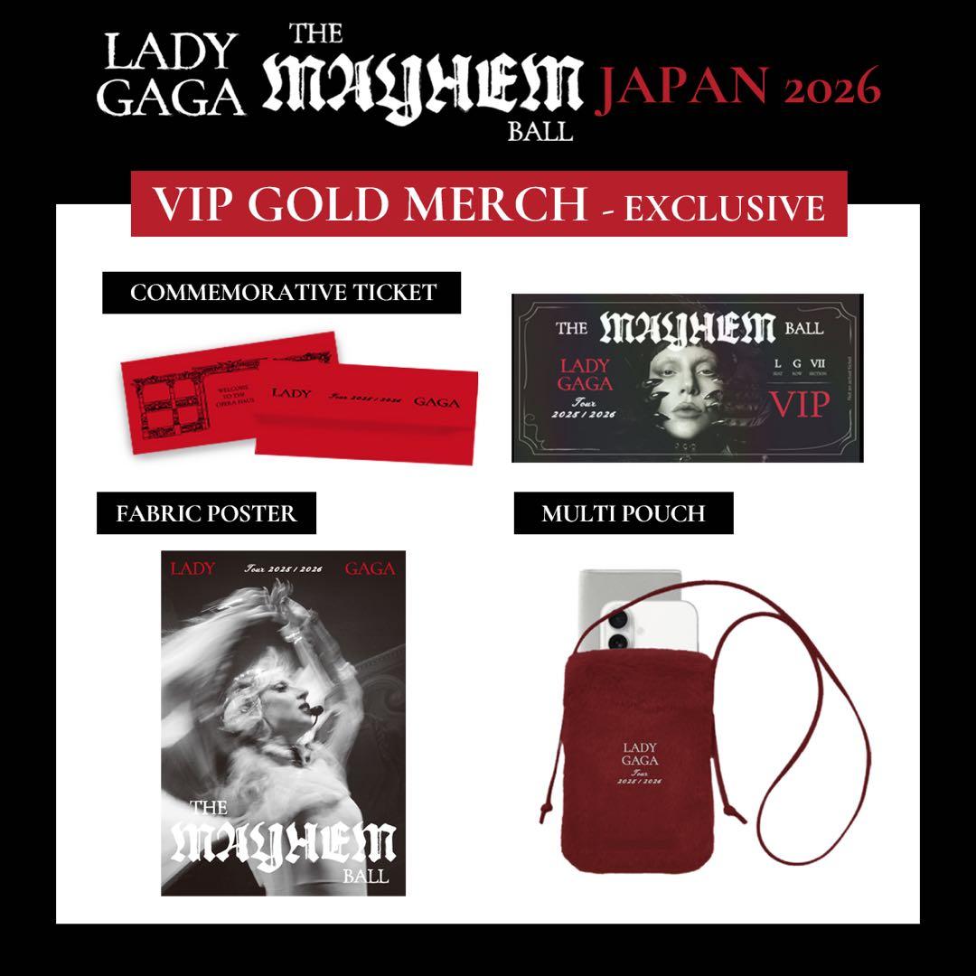 Lady Gaga VIP GOLDグッズ　フルセット LADY GAGA来日公演】 VIP・GOLDの特典グッズを公開しました。VIPは入場