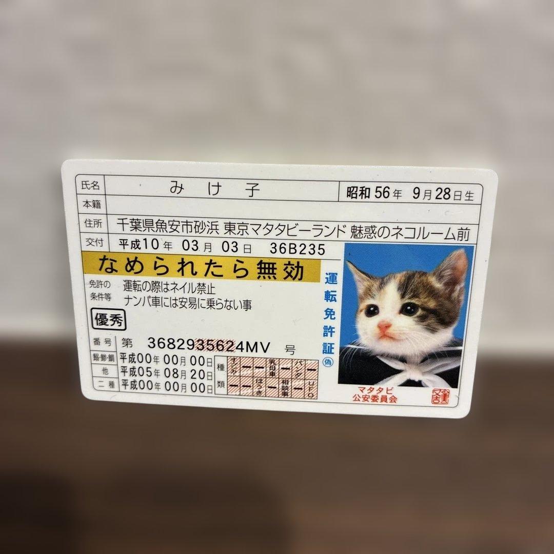 猫の身分証明書 なめ猫 免許証 - メルカリ