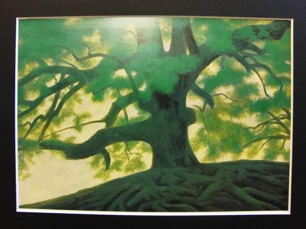 東山魁夷、樹、限定、大判額装画版、版上落款入、新品額・オーダーマット額装