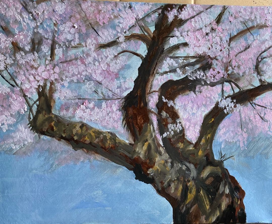 油彩画　「　さくらとこぼれ陽　」　原画　F6号