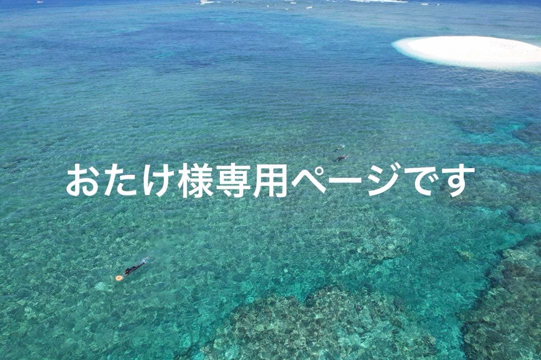 おたけプラピール6set