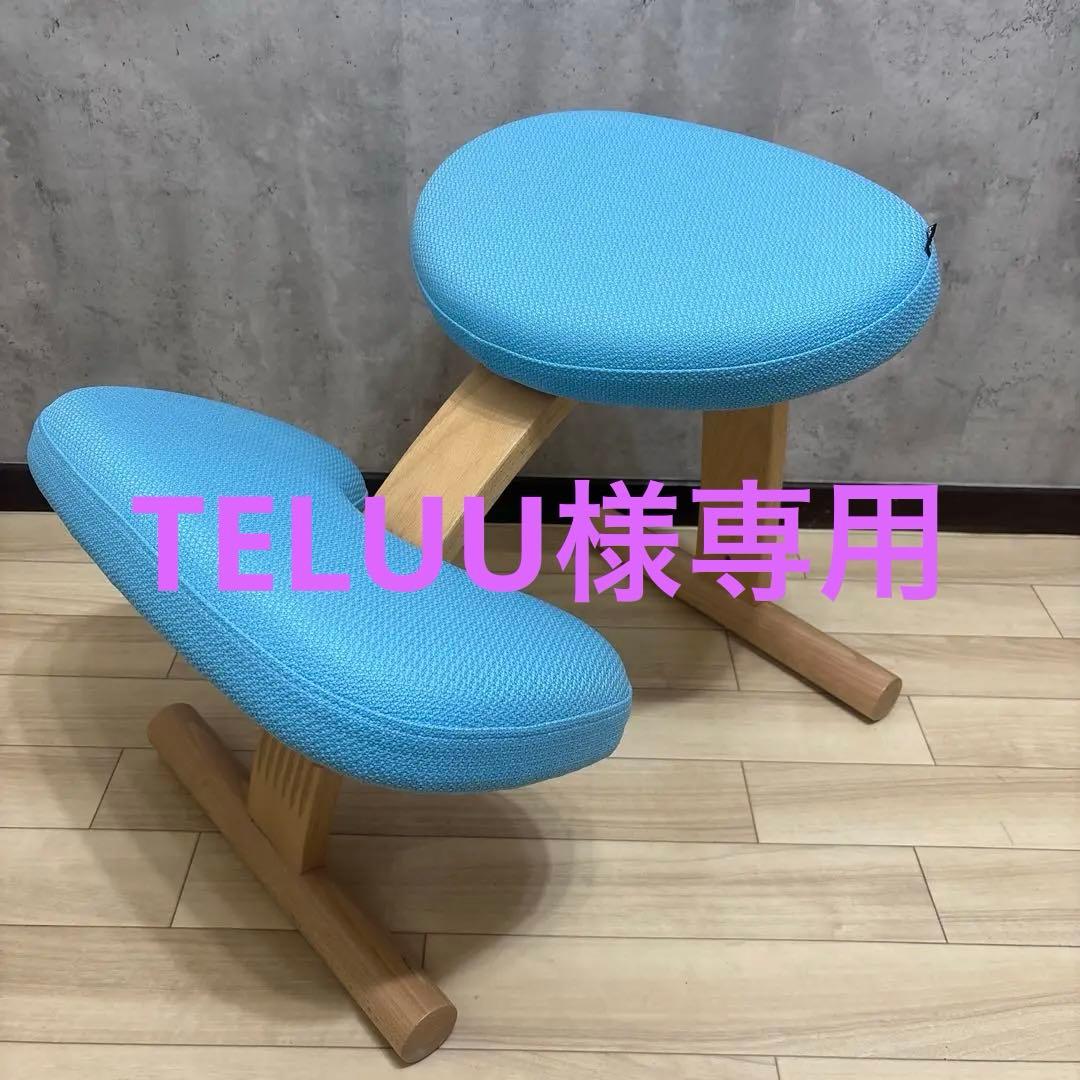 【美品】 バランスラボ バランスチェア バランスイージー