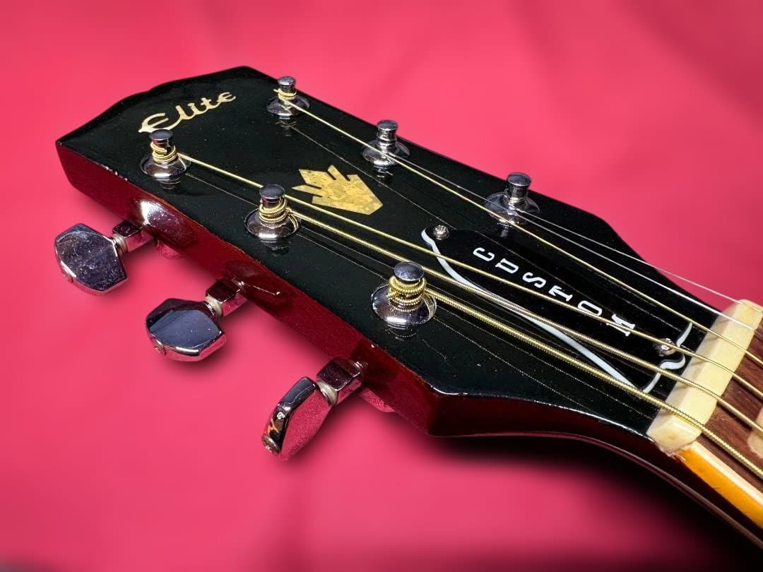 ケ*ジ様 ☆タカミネ・ハミングバード！エリート・カスタム HM-25 超