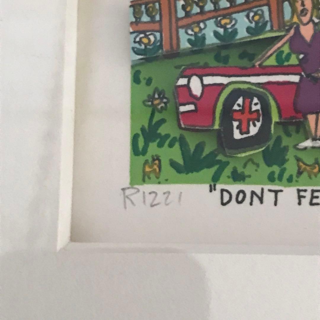 ジェームスリジィ DON'T FENCE ME IN 90' 3D 特別額装