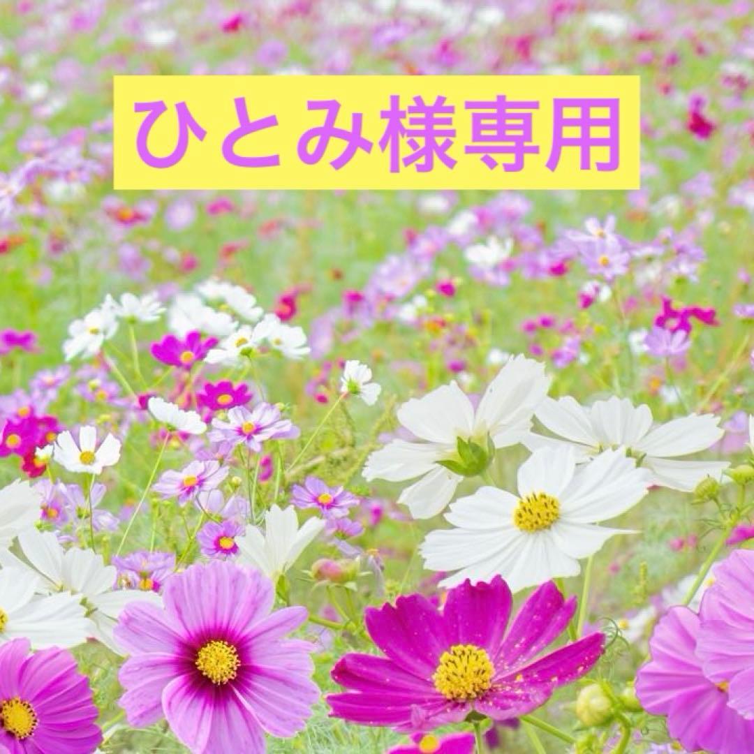 デュアルレチノプラス1本