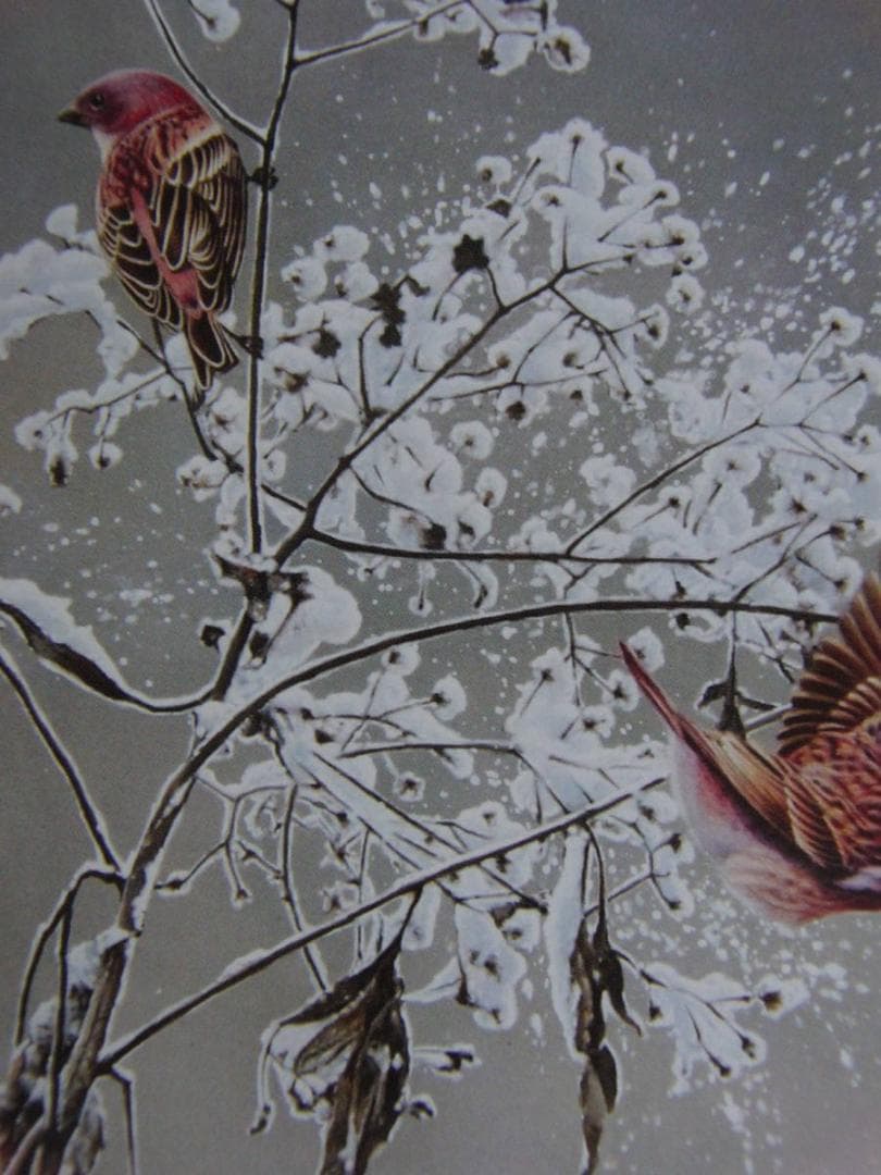 山地司、【初雪の日の朝】、希少な額装用画集より、状態良好、新品額装付