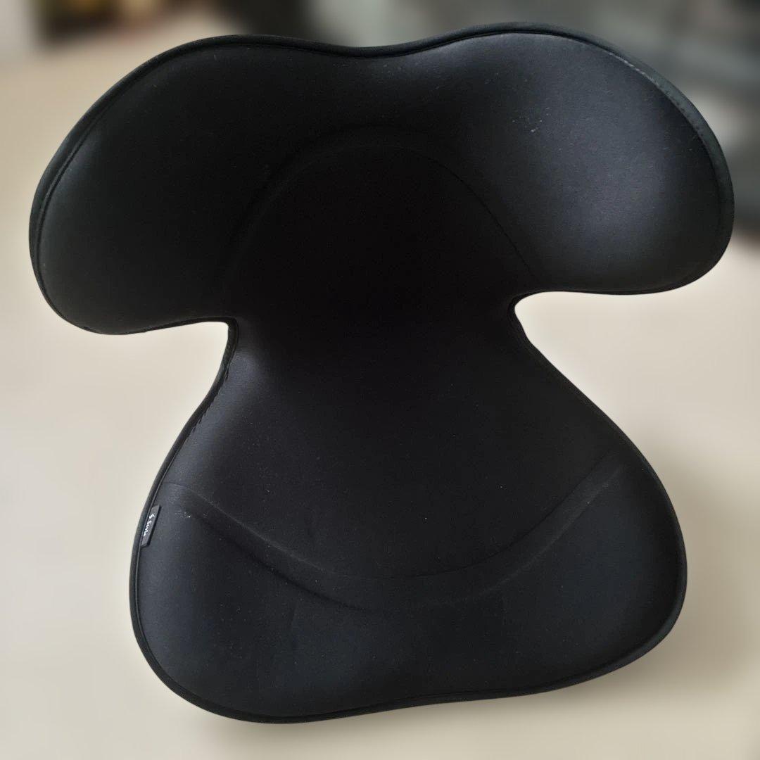 Style SMART（スタイルスマート）　黒色