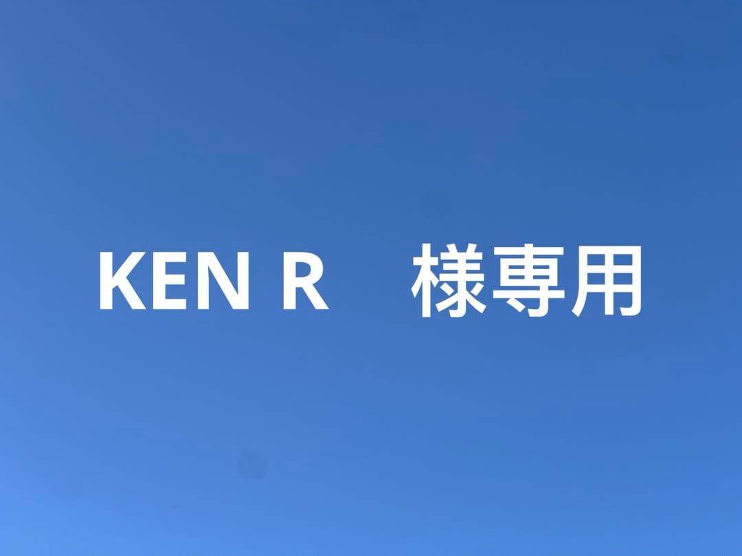和田玉　聖獣　貔貅　金運財運開運風水　手彫り　天然石　旧家蔵出し　厚重　提げ物 ヒキュウ 黒曜石 2体セット 翼 貔貅 ひきゅう 雌雄 風水 置物 風水