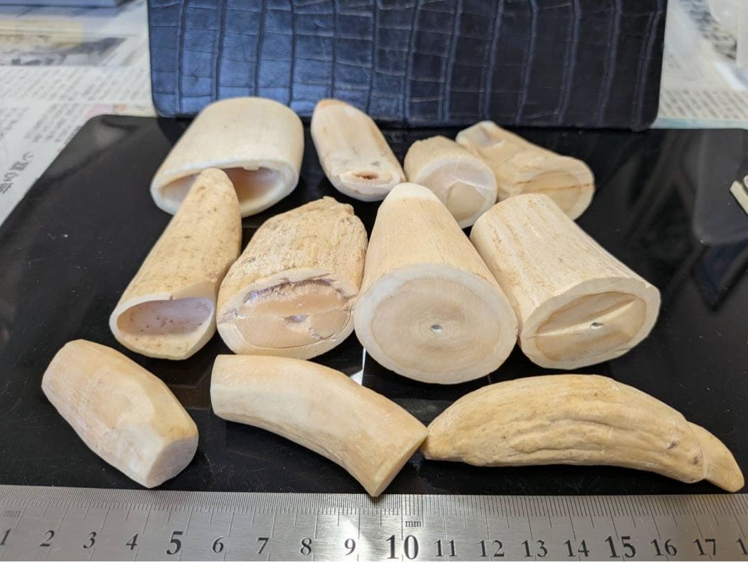 マッコウクジラの歯 f30f8f571e4698d101d316998f2f5a