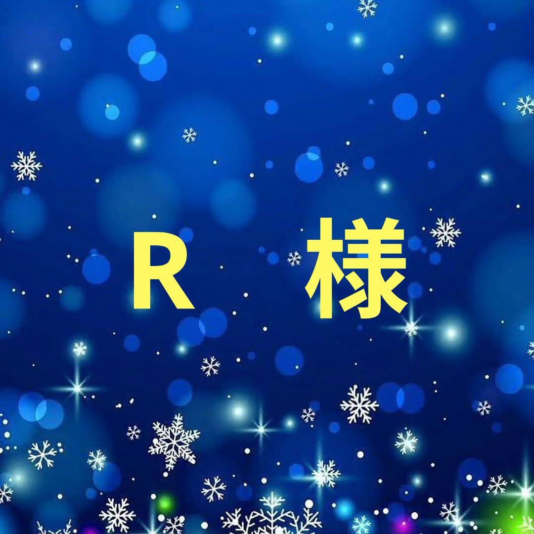 R　高橋みなみセット