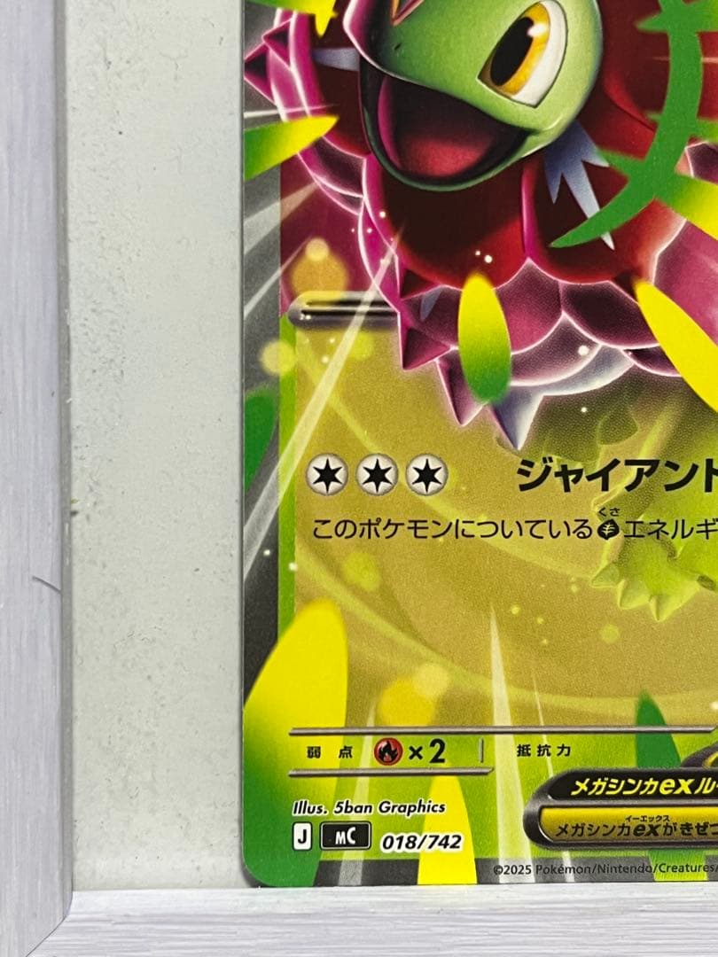 メガメガニウムex 360HP ポケモンカード - メルカリ
