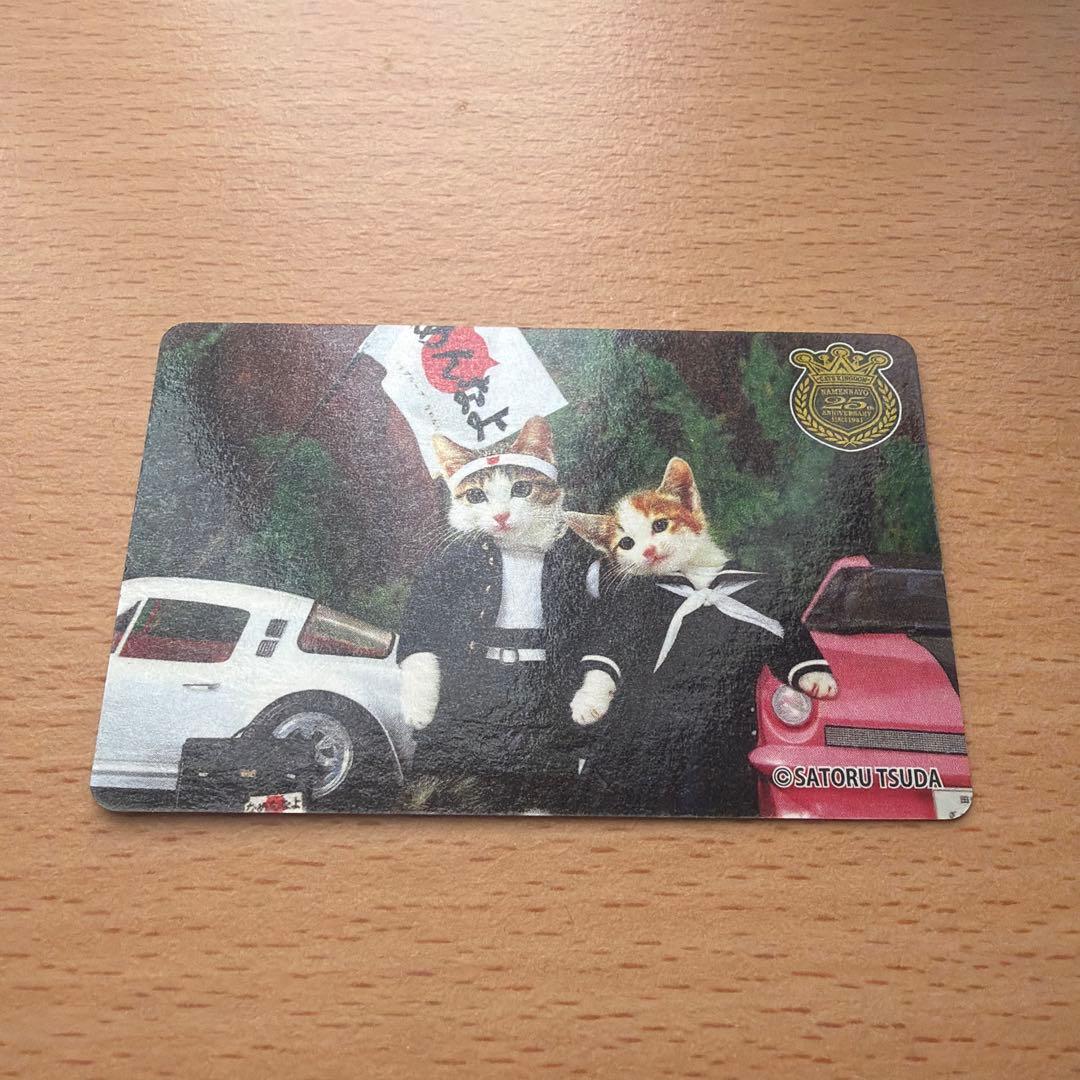 平成レトロ なめ猫 【ゴールド免許証】 - メルカリ