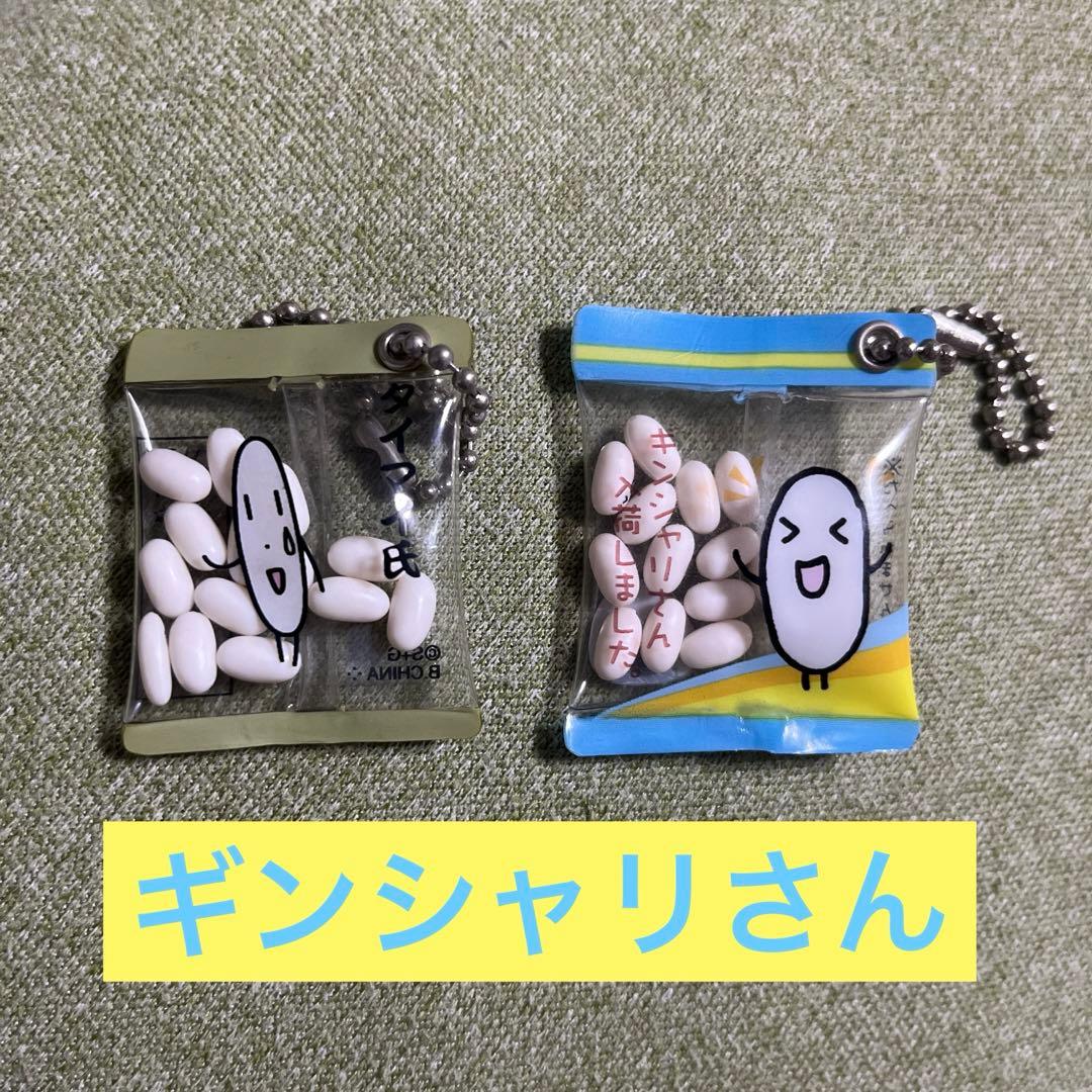 ギンシャリさん タイマイ氏 平成レトロ チャーム サンエックス