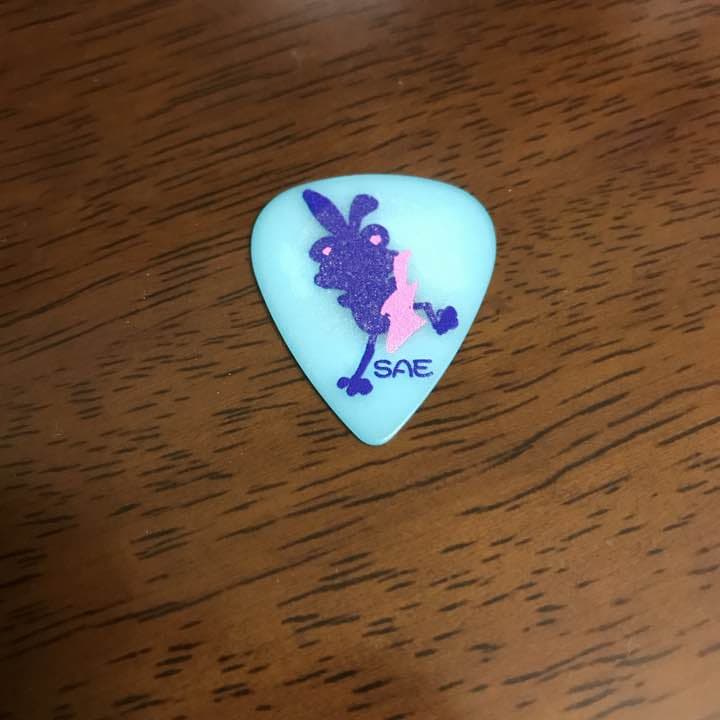 BanG Dream! バンドリ！Poppin'Party 大塚紗英 ピック Poppin'Party | CHARACTER | 劇場版「BanG Dream! ぽっぴん'どりーむ！」