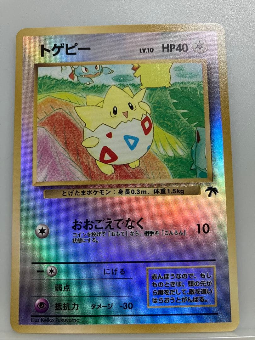 トゲピー フシギソウ　ラッタ　映画公開記念パック サザンアイランド　お花畑編