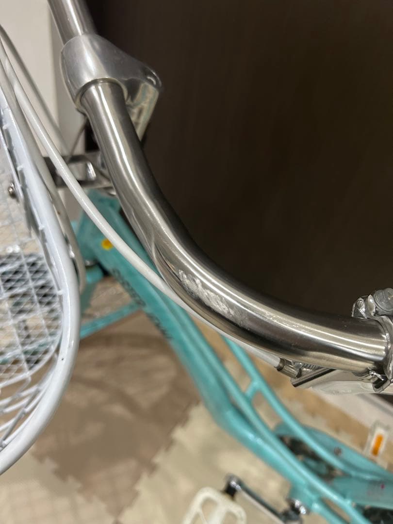 値下げ】 子供自転車 シスタージェニー22インチ チェリー柄 ミント