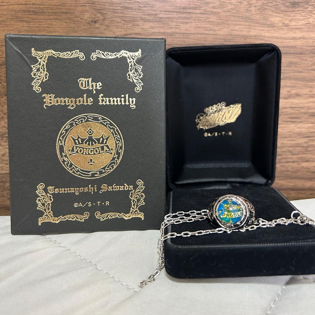 家庭教師ヒットマンREBORN! 大空のリング ボンゴレリング 沢田綱吉 13