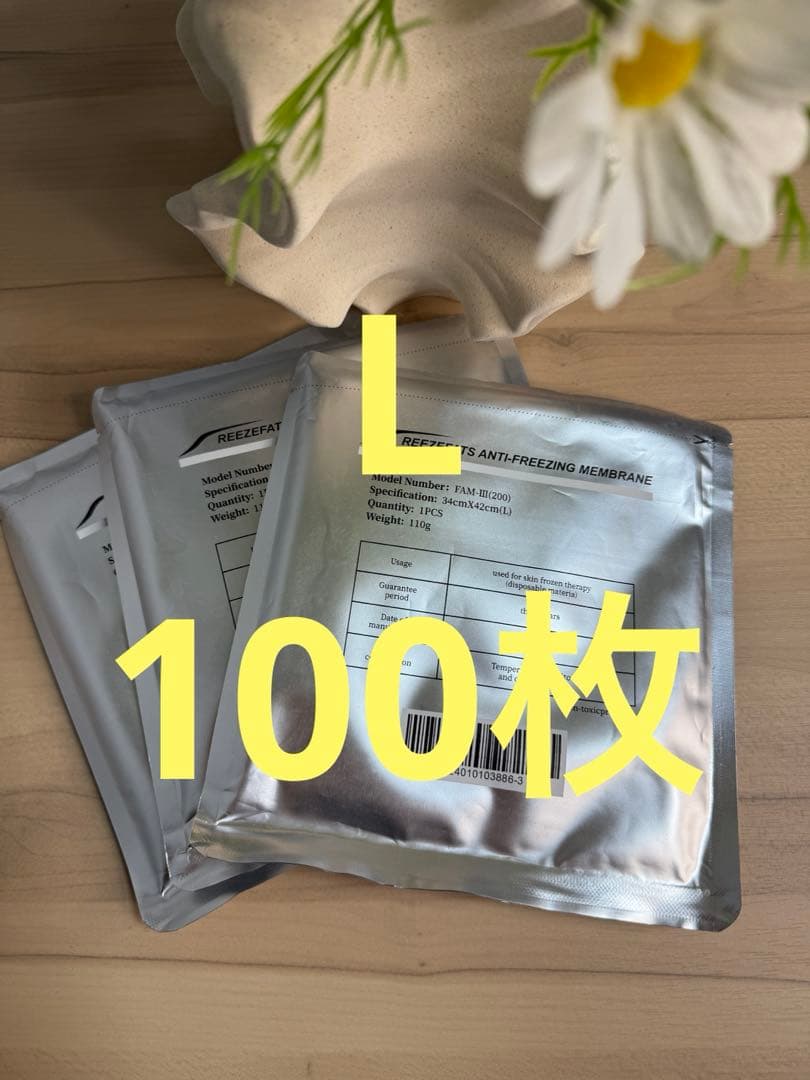 【100枚】Lサイズ不凍シート