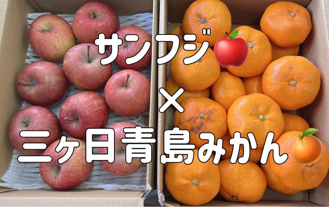 甘さ自信あり】サンふじ10個×三ヶ日青島みかん2kg｜旬フルーツセット