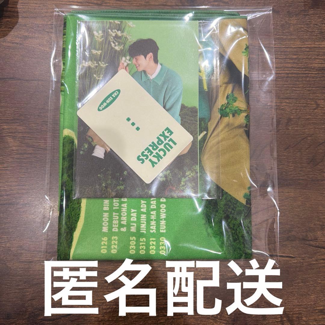 チャウヌ シーグリ 2026 ファブリックカレンダー 2026 B3ファブリックカレンダー 308241