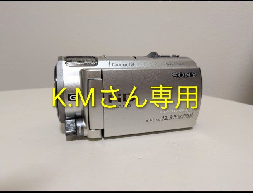 ソニー ビデオカメラ HDR-CX560V ハンディカム シャンパンシルバー