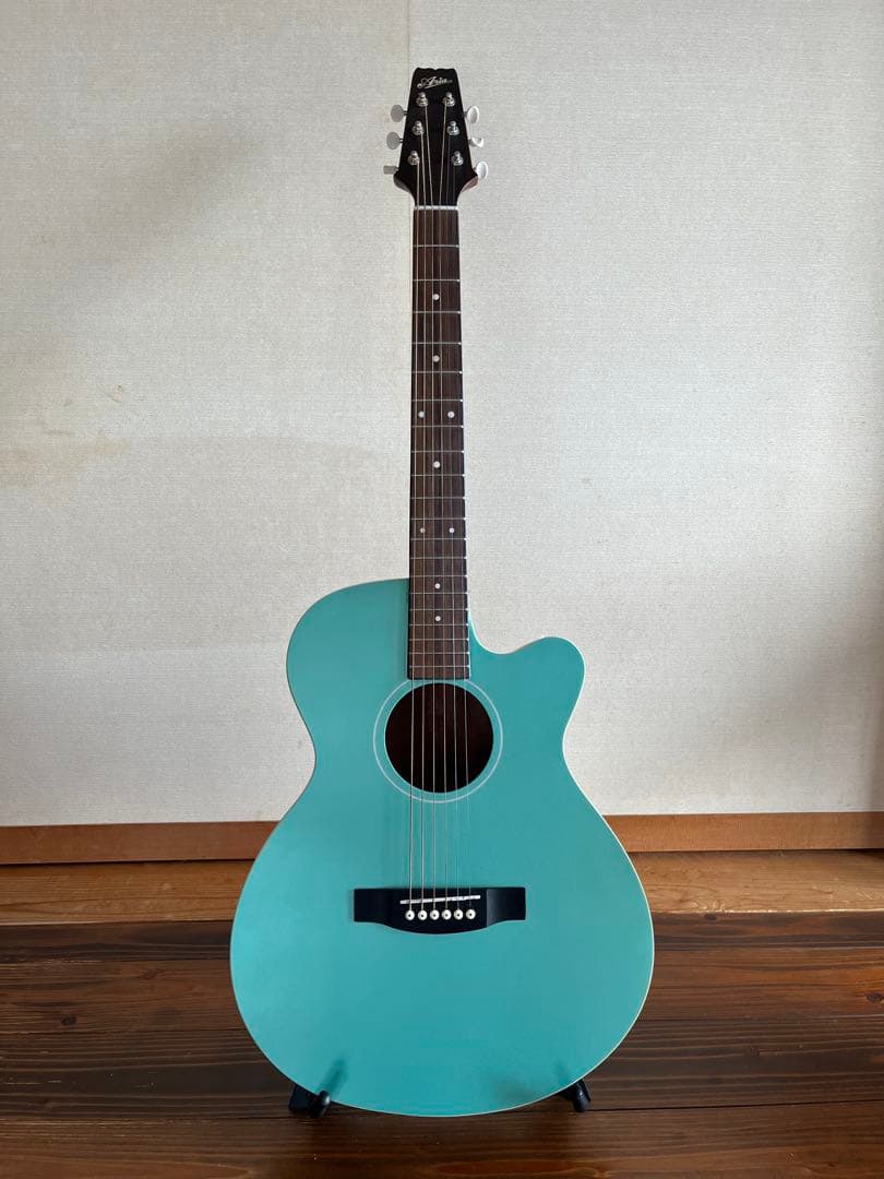 ARIA エレアコ FET-R1