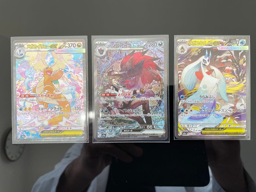 Y*Y様 センタリング良メガカイリュー 、Nのゾロアーク、メガユキメノコ　SAR