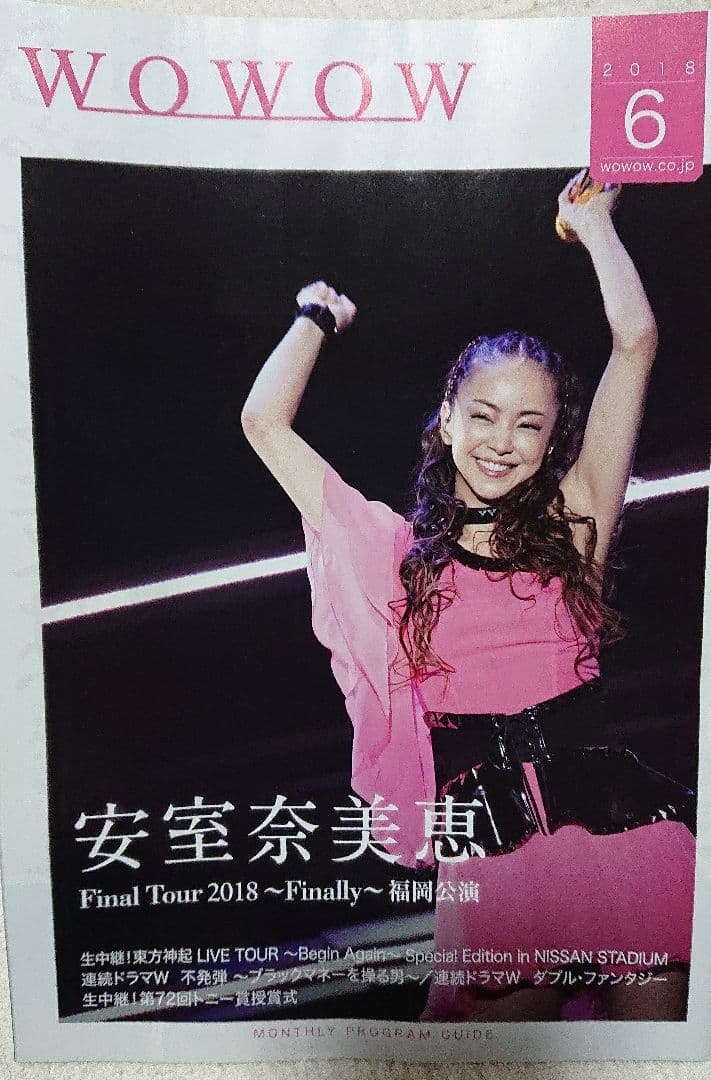 安室奈美恵 パンフレット9冊セット - メルカリ