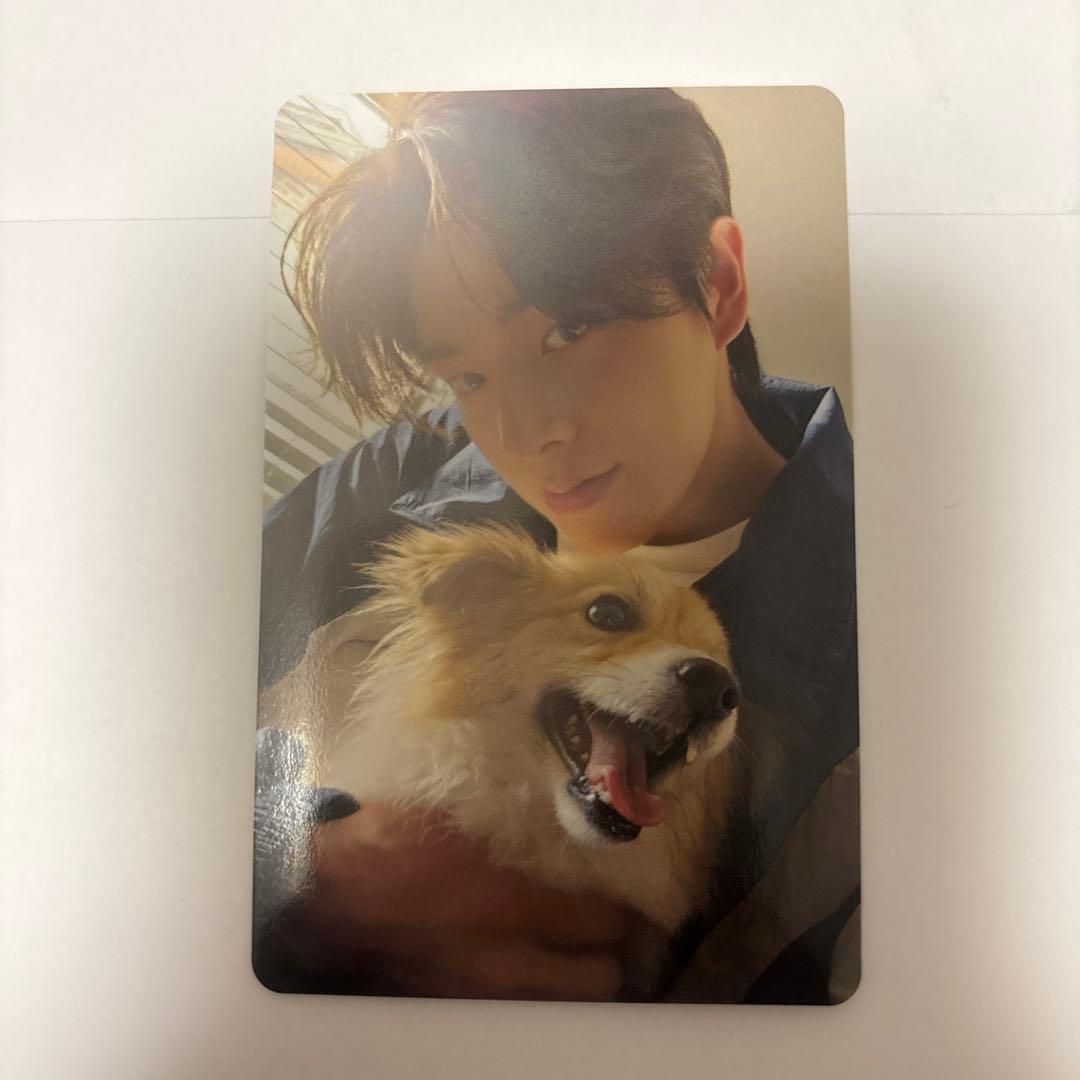 ENHYPENアンケートトレカ2025 ジェイク