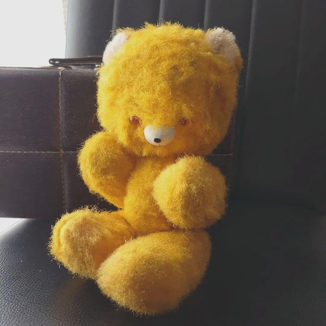 DDRベア/ベルリンベア/ヴィンテージ テディベア/イエロー系 - メルカリ