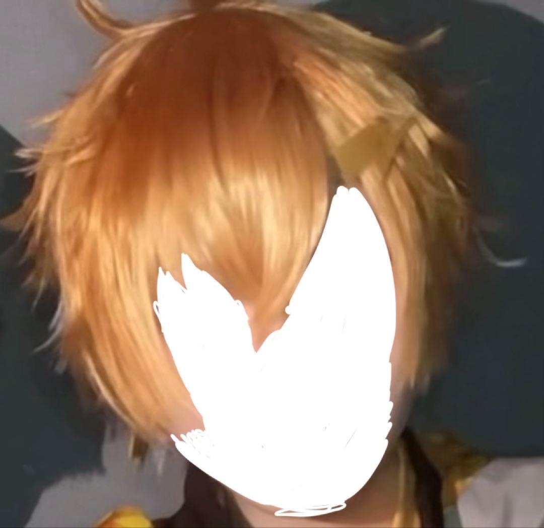 宇佐美リト コスプレ ウィッグ - メルカリ