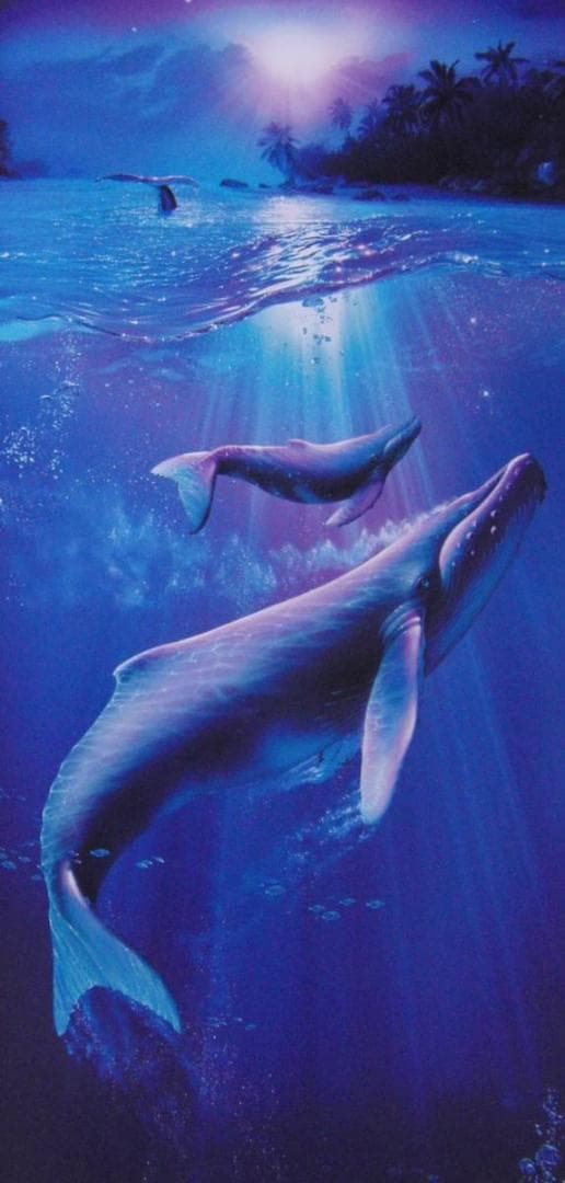 クリスチャン・ラッセン、【ホエールハーモニー】、希少な額装用画集