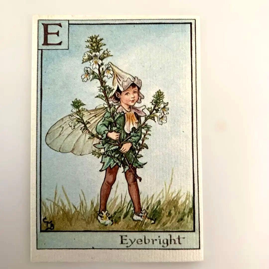 フラワーフェアリーズカード4枚 （ハイクラウンチョコのおまけ