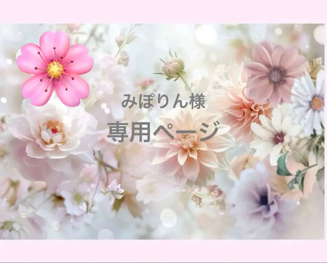 【数量限定】シャルレ＊ミライ＊C80＆ショーツ＊LL 数量限定】シャルレ＊ミライ＊C80＆ショーツ＊LL - メルカリ