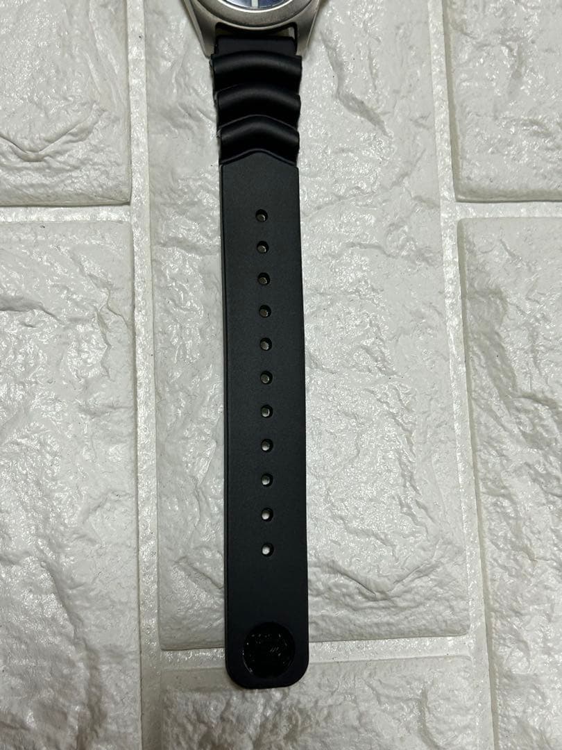 p*4様 希少 シチズンプロマスター・アオラキ/マウント・クック国立公園