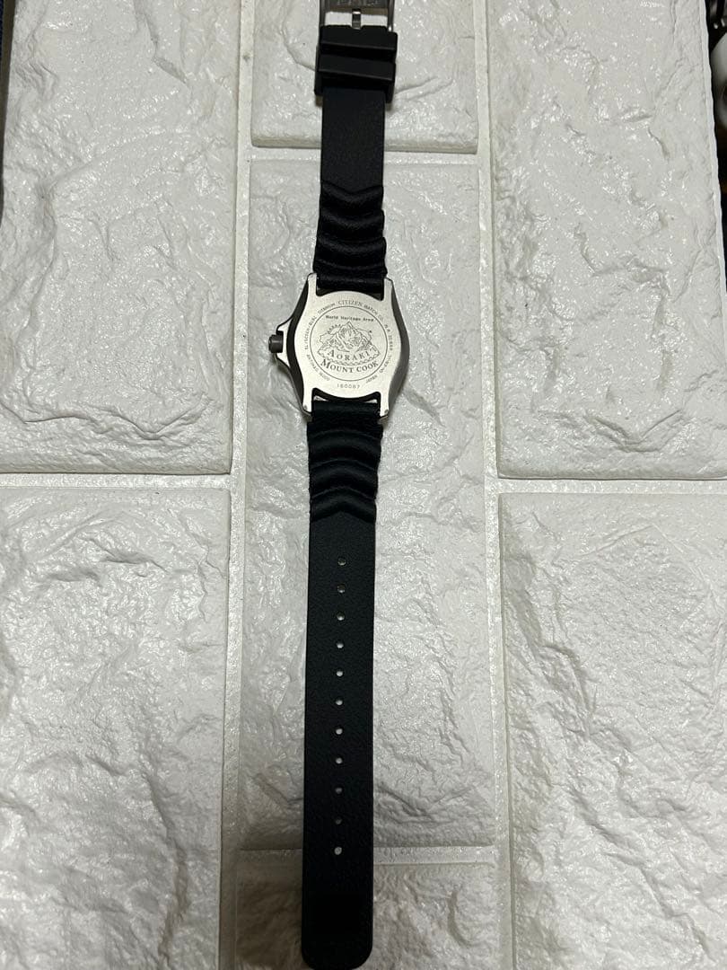 p*4様 希少 シチズンプロマスター・アオラキ/マウント・クック国立公園