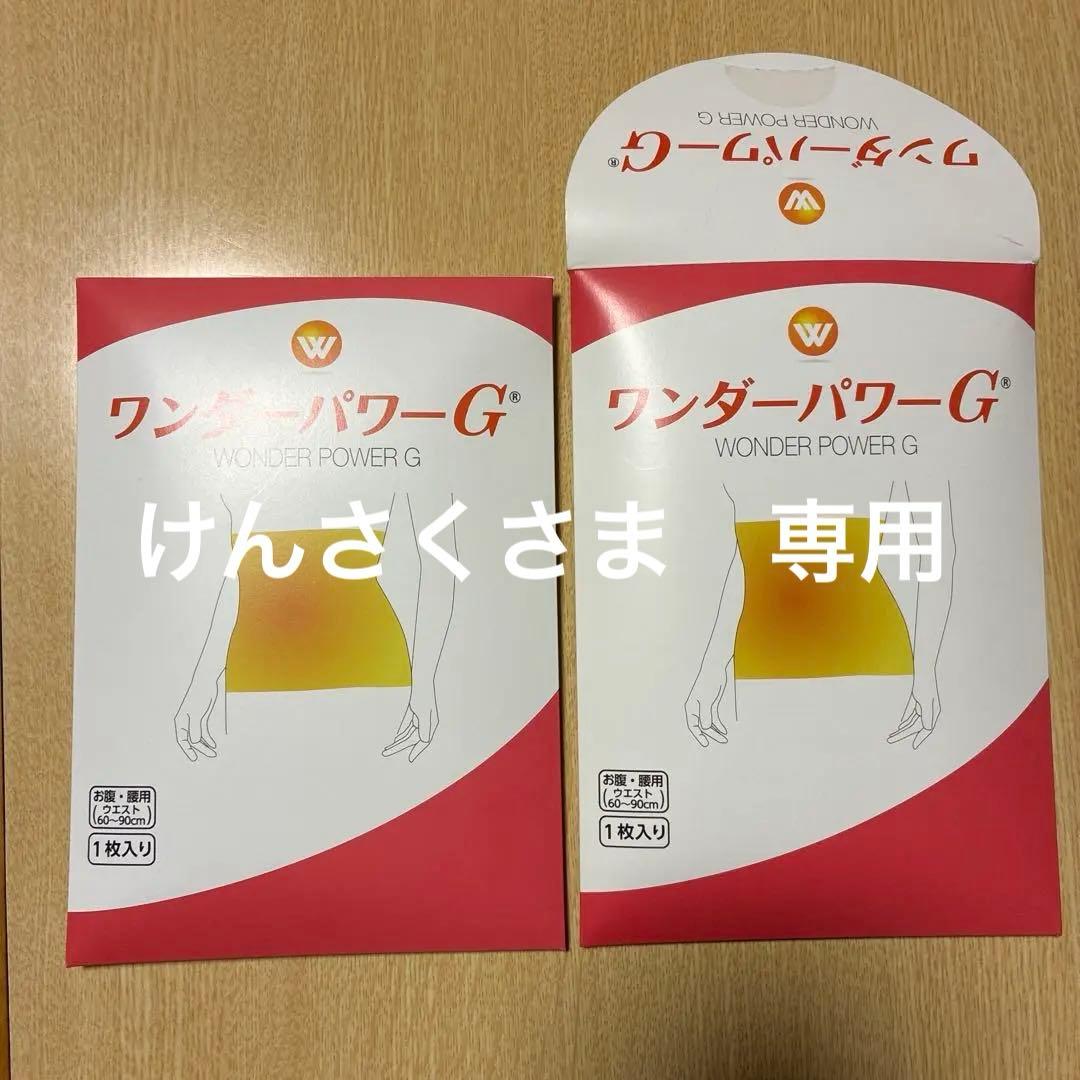 レミントン　ワンダーパワーG　お腹・腰用　2枚