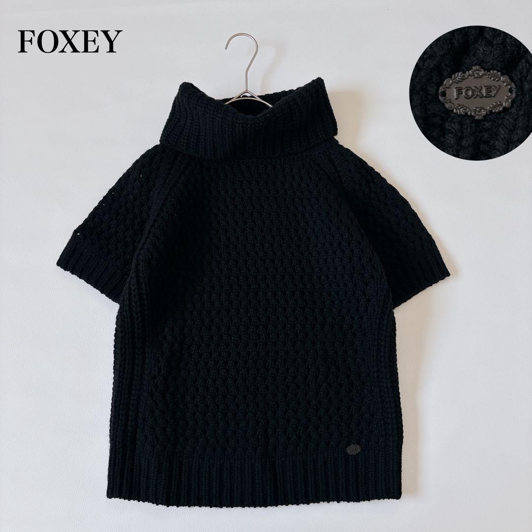 未使用級♡フォクシー ウールシルクカシミヤ タートルネック半袖ニット ローゲージ 楽天市場】ニット メンズ 12G シープ カシミアライク 天竺