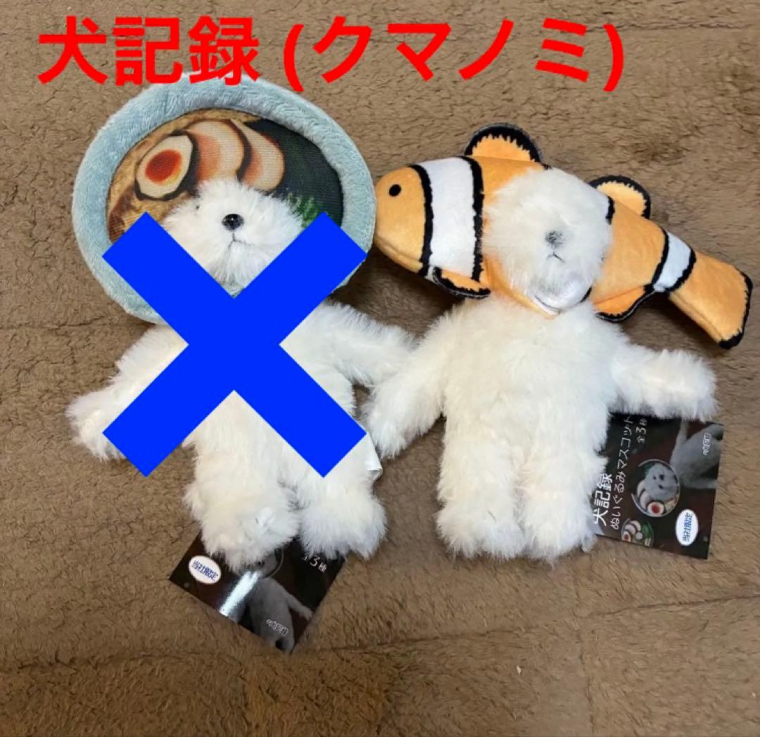 犬記録 ぬいぐるみ マスコット クマノミ犬 プライズ モーリー