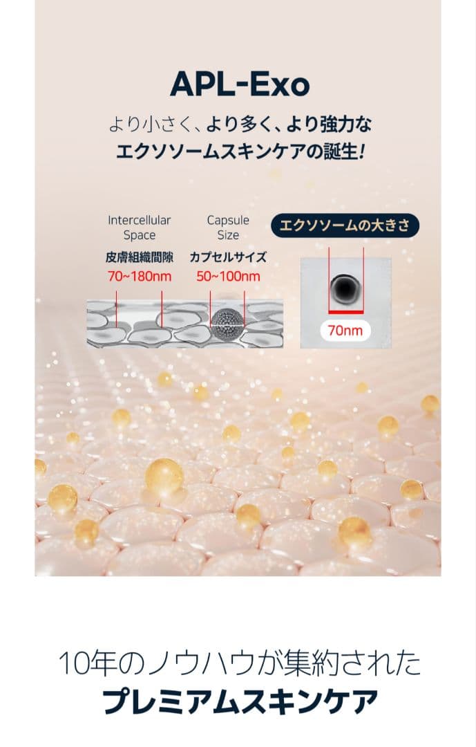 正規品」ルビーセル ダーマコードセラム 6本 - メルカリ