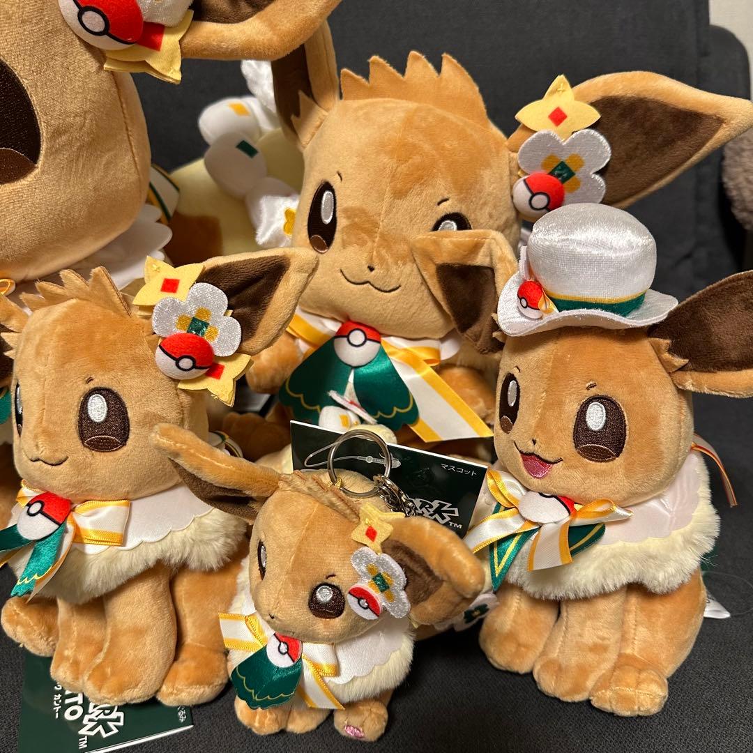 新品 ポケパーク カントー ショップ 限定 イーブイ ぬいぐるみ5体