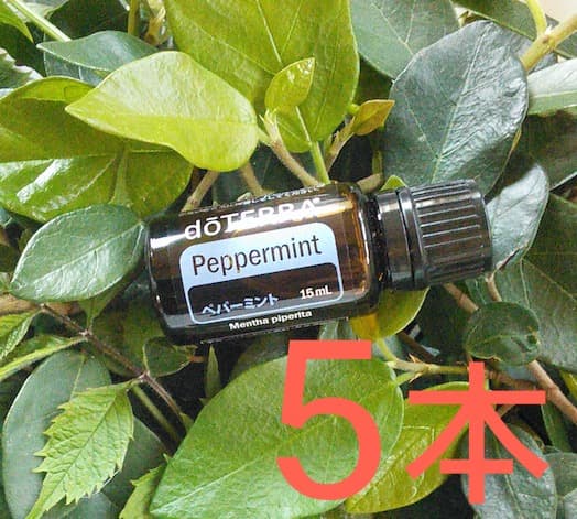 【５本】新品 未開封 最安 ドテラ ペパーミント15ml 28年代以降 匿名発送
