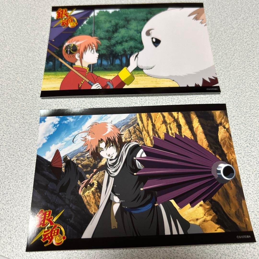 ✨レア✨ 銀魂 ファミマプリント ブロマイド 神威 神楽 定春 はるさめ