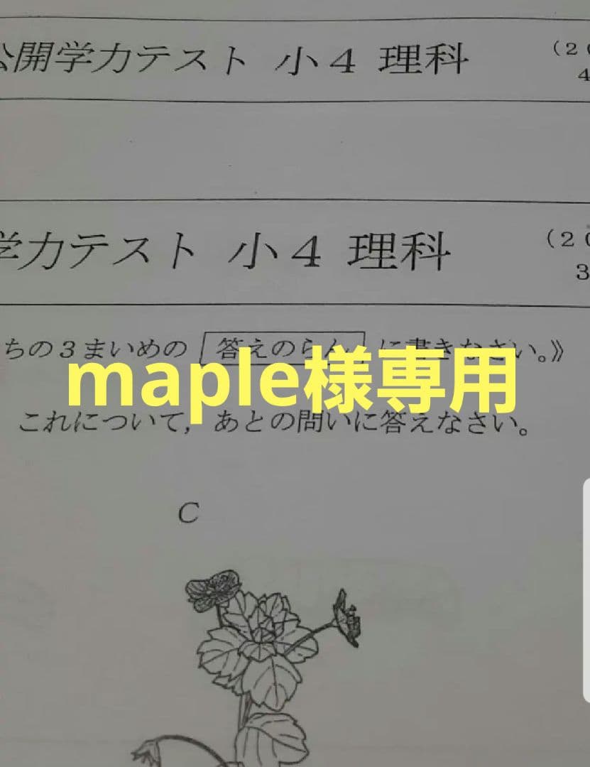 語学・辞書・学習参考書 maple